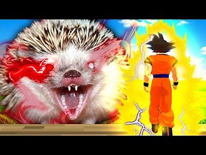 why Hedgehogs should go extinct