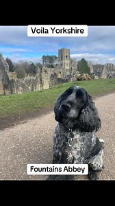 Had a wonderful #Trek around Fountains Abbey & Studley Royal, National Trust A ‘Must’ Visit! 🙌🏽 #Voila #Yorkshire #Visityorkshire #Fountainsabbey #Ripon #Yorkshireindian | YorkshireIndian