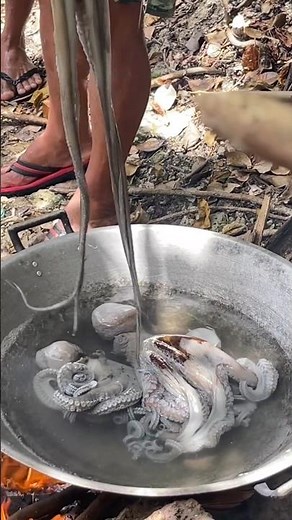 Boiling Fresh Octopus for Perfect Tenderness 🦑 | Catch & Cook Seafood Prep
