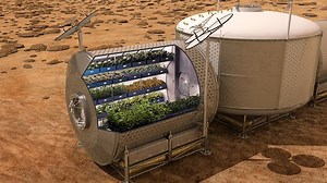 NASA grows edible vegetables in space for the first time