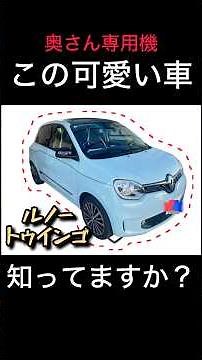 ルノートゥインゴという車の知られざる一面#トゥインゴ #rr #ルノー#コンパクトカー #サーキット