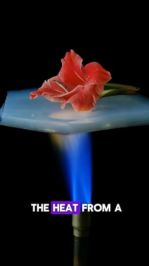 Lava vs. Aerogel 🔥​🟦​ #reels #lava #burning #science #experiment #viral | The Action Lab