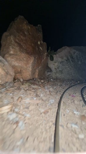 1.8M views · 32K reactions | Um pouco de ação noturna em nossa maquete! A little.bit of night action! #trains #LGB #noite | Ferrovia de Jardim | Facebook