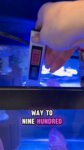 Kat | Biologist & Founder | TDS = Total dissolved solids (I said particles, potAto potato) . What does your tap water come out at? . . . . . . #Katsaquatics... | Instagram