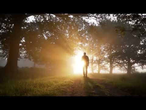 People Walking & Jogging on Beach | Relaxing Beach Fitness & Lifestyle #BeachJogging #PeopleWalking