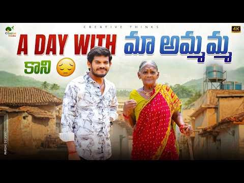 మా అమ్మమ్మ ఇల్లు | Every person Childhood Memory 4K | Shree Videos