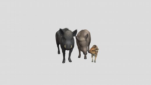 Wild Boar Family - Download Free 3D model by Dakta.Grower.Nzl