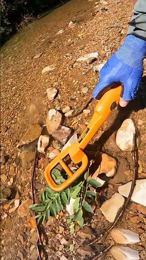 Mysterious Discovery Along the River with metal detector #metaldetecting #viralshorts