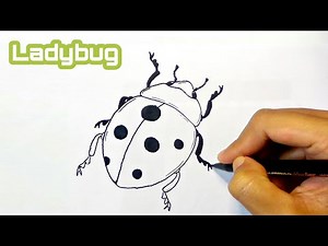 How to draw a ladybug step by step easy