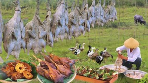 1.7M views · 46K reactions | New video on YouTube! | Joseph The Explorer | Facebook