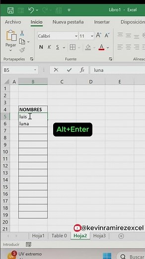 Cómo Escribir Varios Datos en una Sola Celda en Excel | Trucos que No Sabías #shortsviral
