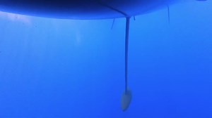 [Cap ou pas cap ? 🤔] ... De plonger sous votre bateau en plein milieu de l'océan ? 🌊 Il n’est pas rare que les skippers plongent pour inspecter la coque de leur IMOCA, retirer des algues ou filets de pêche entravés dans la quille ou les safrans. Thalassophobes, on vous souhaite bon courage ! 😱 [Would you? 🤔] ... Dive under your boat in the middle of the ocean? 🌊 It is not uncommon for skippers to dive to inspect the hull of their IMOCA, remove algae or fishing nets caught in the keel or rud