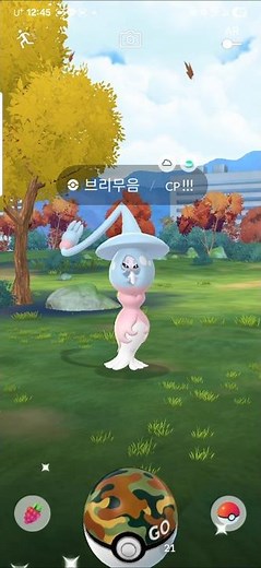 2025 Wild Area에서 Go사파리볼로 잡은 강한 #브리무음 #와일드에리어 #사파리볼 #포켓몬고 #pokemongo