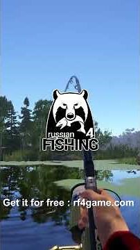 RF4 - Pêche du brochet au vif #shorts