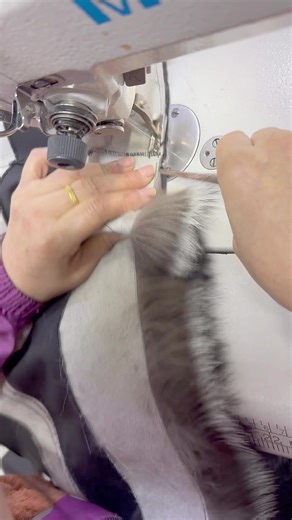 Sewing #satisfying #asmr #fyp #sewing #factorywork 🌍🌍For more information,please click: https://www.janefur.com or http://www.jfur.en.alibaba.com You can contact us through any of the folllowing platforms to ask questions about any of our products. We will help you as soon as possible！ ✨✨WhatsApp:008615068322633，to get wholesale price 📲📲 DM or WhatsApp/wechat： 86 15888306568 📩📩Email: Jane@janefur.com Welcome to make orders！