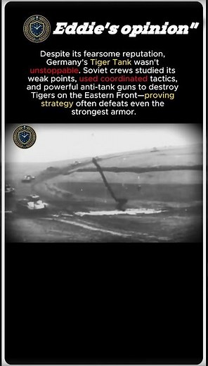 Tiger Tank Wasn't Invincible | How the Soviets Defeated Germany's Deadliest Tank #history #ww2