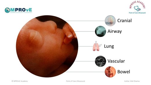 Session 5-Lung Ultrasound-The Normal Lung and Nomenclature | Alok Sharma