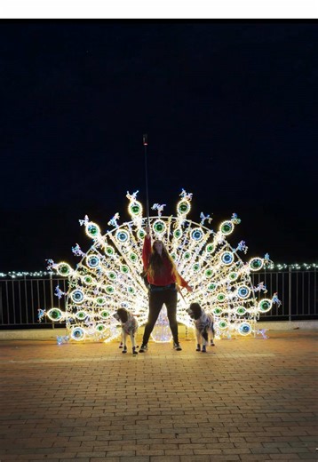 I used my X5 for 30 days, and the biggest takeaway that I learned was the key frame and horizontal first, then switch over to vertical, because it's going to match a lot easier, and you're going to have a lot less changes to make after the fact. I gave a full video on my first 30 days using the X5 on my YouTube channel, if you want to learn more. #insta360 #youtuber #techtips