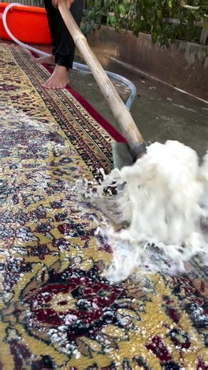 Carpet Washing ASMR: Satisfying Carpet Cleaning Sounds