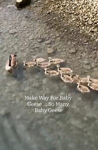 We couldn’t help it. Another dose of cute to get you through the week. | The Weather Channel