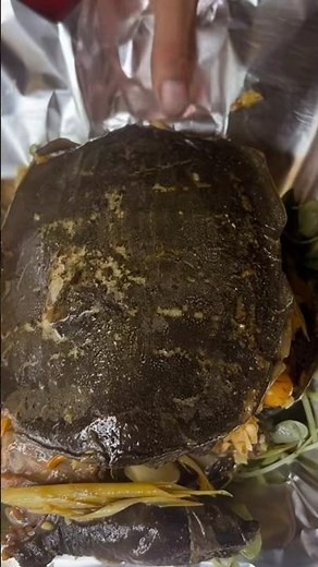 Cooking turtle steaming#eatingvideos