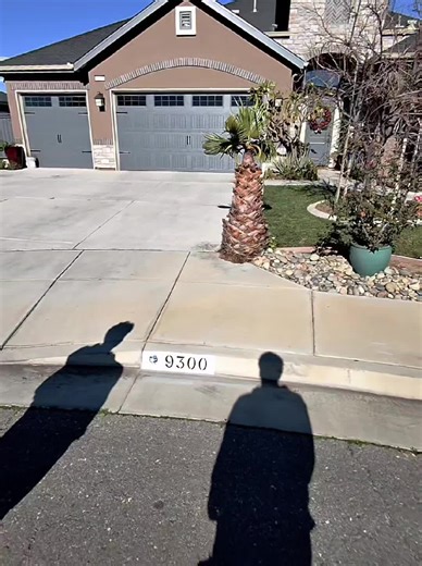 Cleaning Tips for Your Blue Rose Care