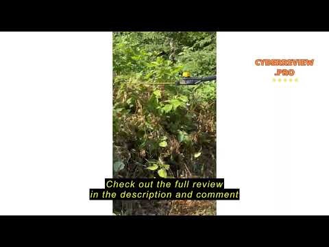 Review 20V DEWALT Pole Hedge Trimmer Head Bare
