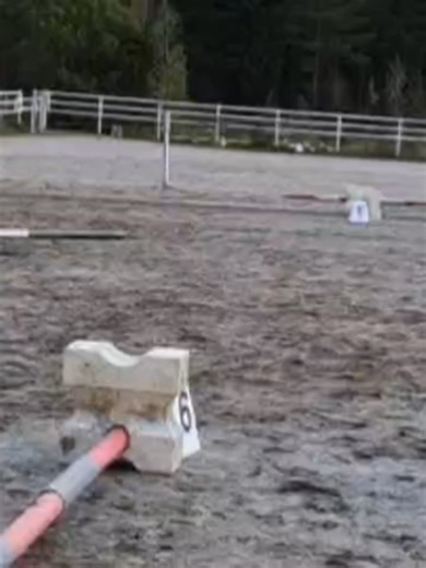 Baby Doll Horse Riding Fun