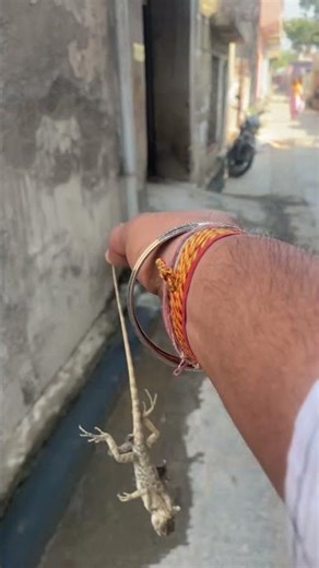 We trap a girgit #viral #funny #fashiontrends #trending #trendingshorts #shorts #youtubeshorts