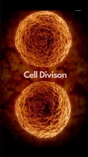 cell division|| biology|| classes 9-10|| visual concept#motivation #virals #all