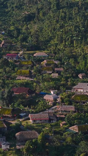 Nhà em ở lưng đồi, nơi chim rừng thanh thót Bầu trời xanh dịu ngọt, gió tràn về mênh mang.! #Hagiang #caonguyendadongvan #muahoatamgiacmach #mualuachin | Hà Giang Tour