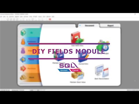 DIY FIELDS - SQL Accounting Software