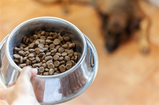 Pet food recalled after testing positive for salmonella and listeria: FDA