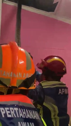 Two pythons crash through ceiling 🐍