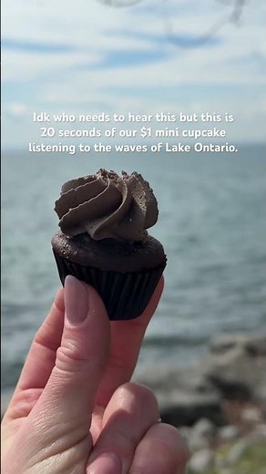 Mini Vegan Gluten-Free Cupcakes at Lake Ontario | Kelly's Bake Shoppe
