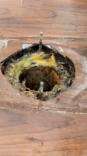 💵 Flange repair using Oatey Twist-N-Set . Twist-N-Set is designed with a gasket that expands to fit the inside of a drainage pipe and can be installed without tools 🤙 . 🎥 @the_drain_gang | Oatey