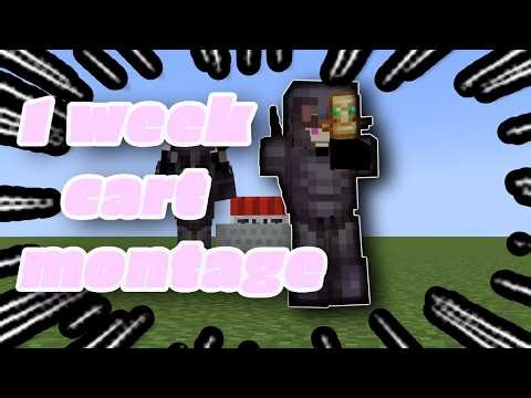 1 week cart montage