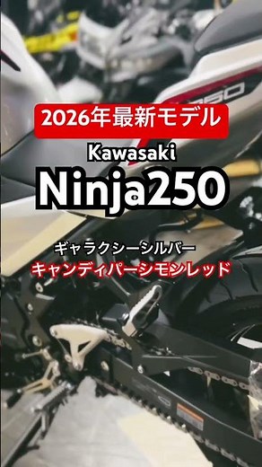 【2026年 最新モデル】カワサキ Ninja250 ギャラクシーシルバー×キャンディパーシモンレッド実車動画