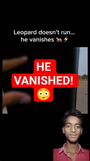 #Leopard #Wildlife #AnimalShorts #ViralShorts #NatureLeopard Doesn’t Run… He Vanishes! 😱⚡ #shorts