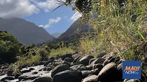 Surfrider Foundation’s Blue Water Task Force reports high bacteria levels at five Maui sites | Maui Now