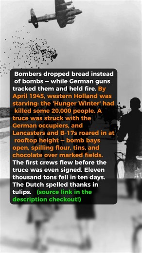 Bombers Dropped Bread Instead Of Bombs #short #history #ww2