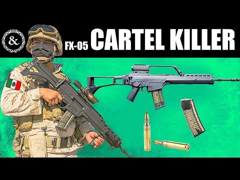 Why Mexico's Army Uses This Rifle Against Cartels
