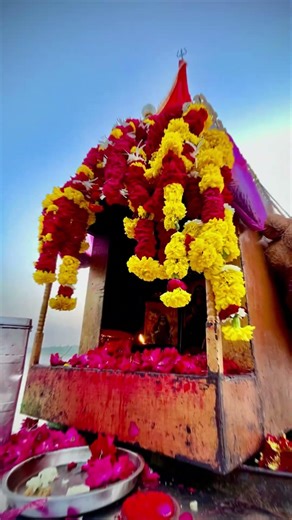 Mahoni maa | khukhar meldi maa bareja dham | Malataj wadi maa | #ytshorts #youtube