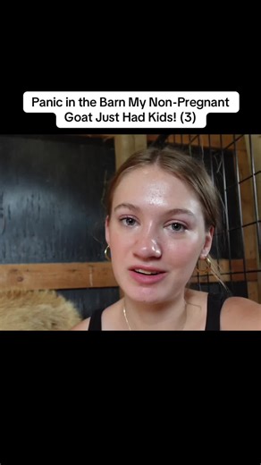 Goat Birth Surprise: Non-Pregnant Goat Has Triplets!
