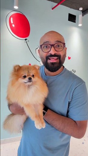 Puppy Cafe | Cutest Dog Cafe | Best Pet-Friendly Cafe in Dubai | Fluffin Dog Cafe