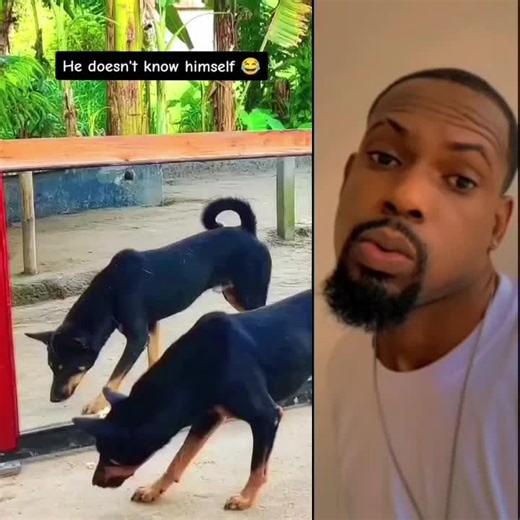 Funny Cop Arrest Moments with DJ Police 256