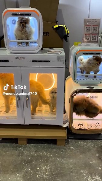 Mundo Animal: Explorando la Fauna Diversa