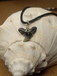 Fossilized Shark Tooth Necklace- Tiger Shark - 8-20 Million Years Old! - Etsy Canada