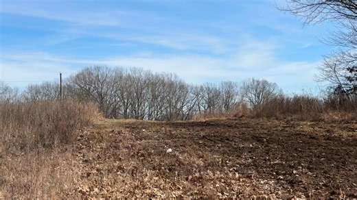Sunny skies, good company, and the call of the handlers— it doesn’t get much better than this at Ames. #NationalChampionship #amesplantation #birddogs #fieldtrials | Ames Plantation