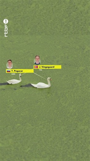 191K views · 1.3K reactions | Quand le réalisateur du Tour de France craque en début de deuxième semaine... | RTBF Sport | Facebook